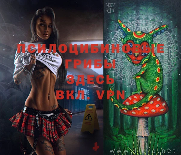 спайс Аркадак