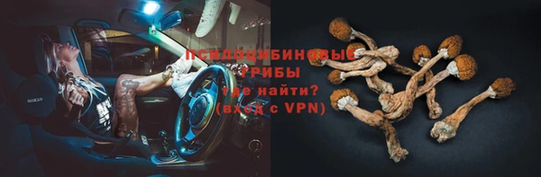спайс Аркадак