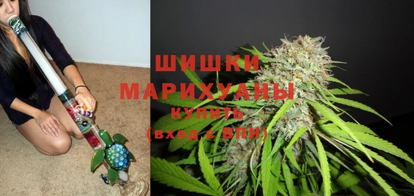 спайс Аркадак